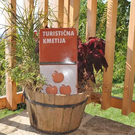 Venkovský dům Vineyard Krstinc *