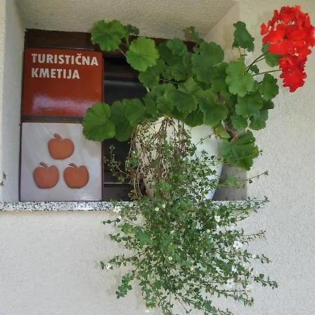 Casa de Campo Vineyard Krstinc *